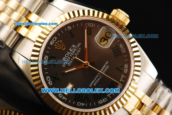 Rolex Datejust Automatic Movement Steel Case with Chocolate Dial and Two Tone Strap-Lady Model - Click Image to Close